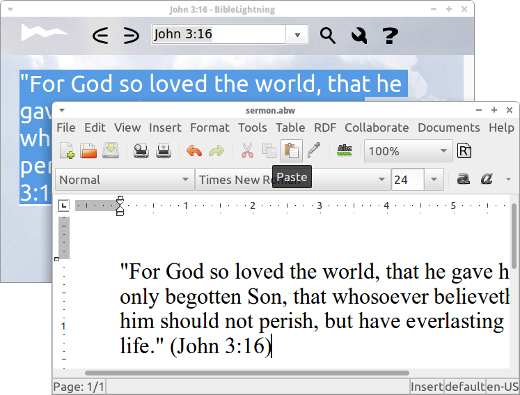 BibleLightning is a pure Bible study program that makes copy and paste easy